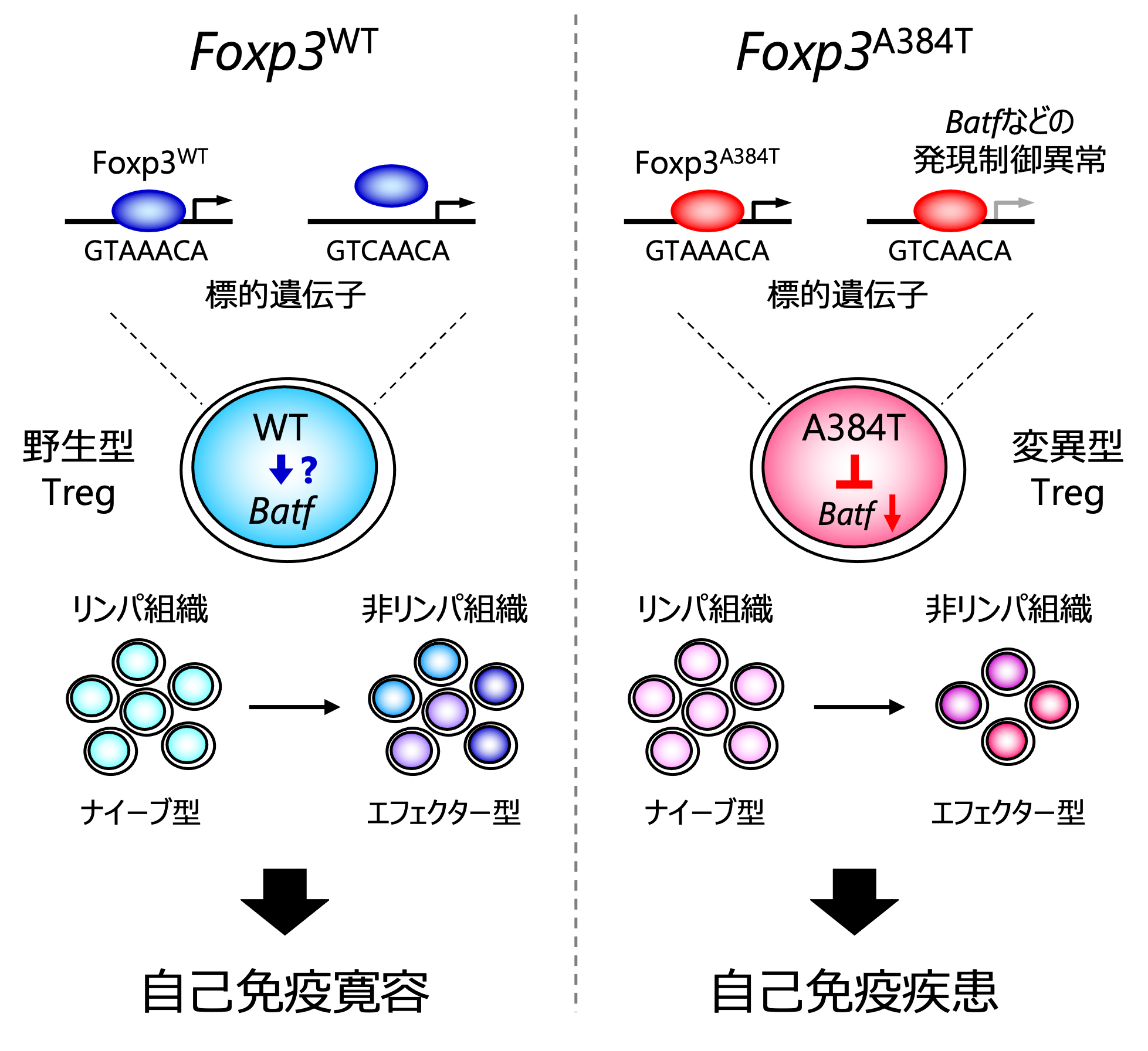 figure2